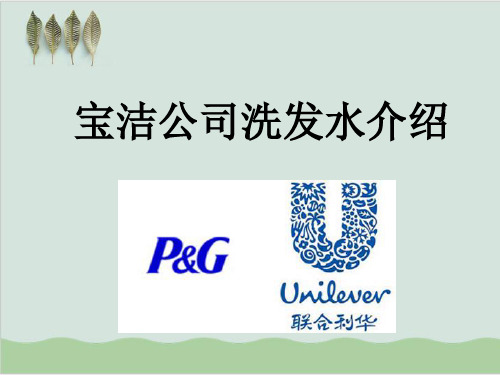 宝洁公司洗发水介绍PPT课件( 33页)