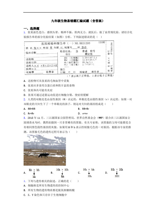 九年级生物易错题汇编试题(含答案)