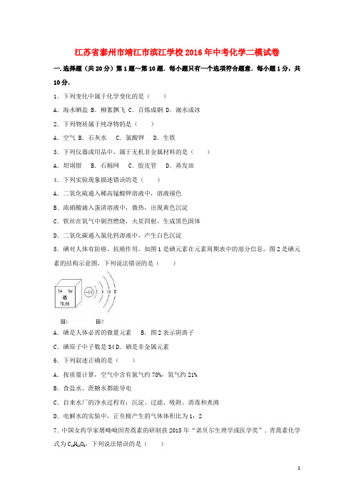 江苏省泰州市靖江市滨江学校2016年中考化学二模试卷(含解析)