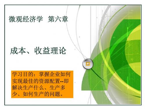 微观经济学第6章