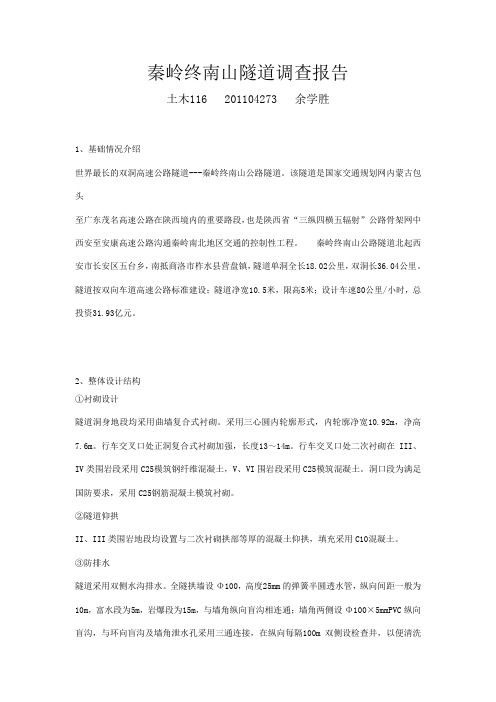 秦岭终南山隧道调查报告