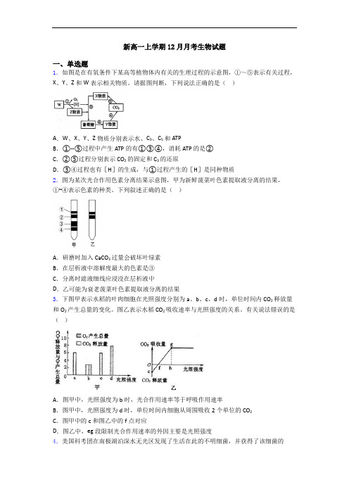 新高一上学期12月月考生物试题