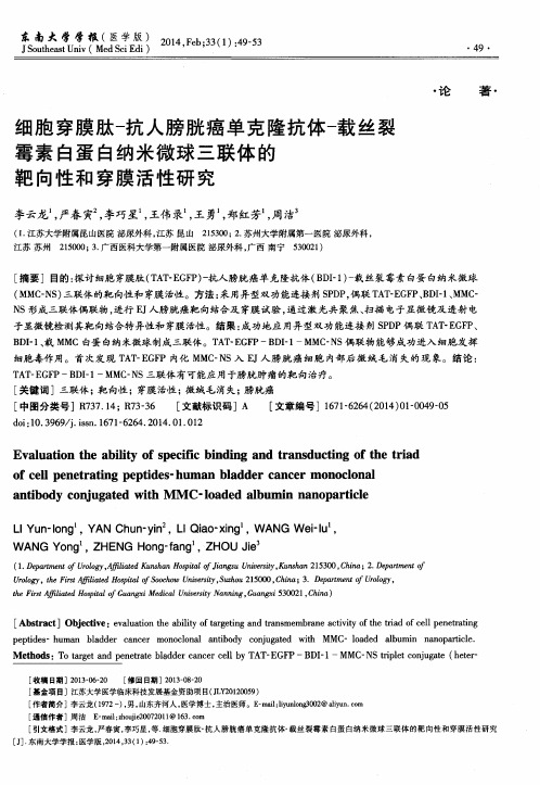 细胞穿膜肽-抗人膀胱癌单克隆抗体-载丝裂霉素白蛋白纳米微球三联体的靶向性和穿膜活性研究