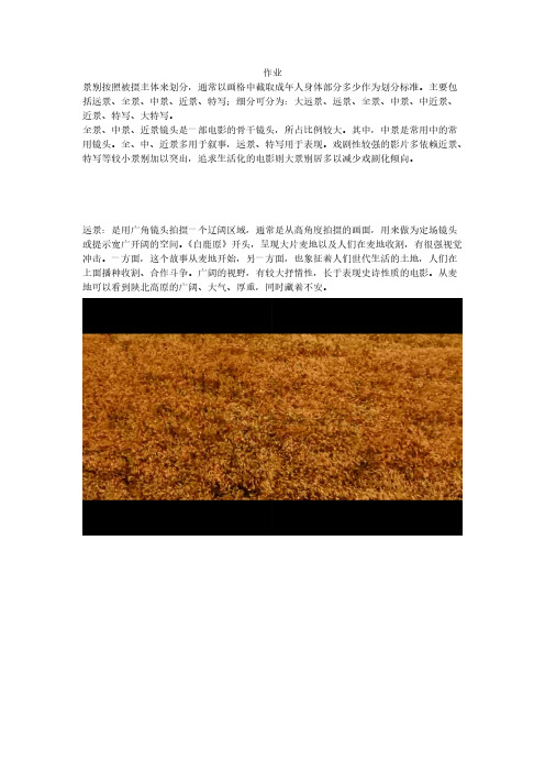 视听语言分析