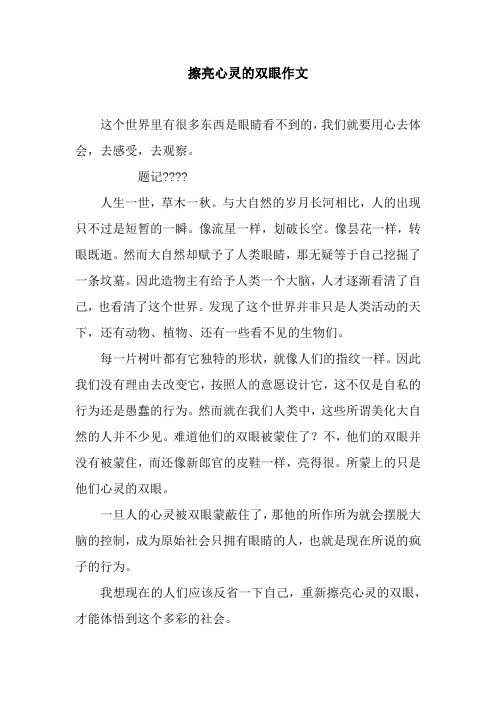 擦亮心灵的双眼作文