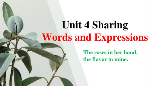 Unit 4 Words and Expressions 课件高中英语人教版选择性必修第四册