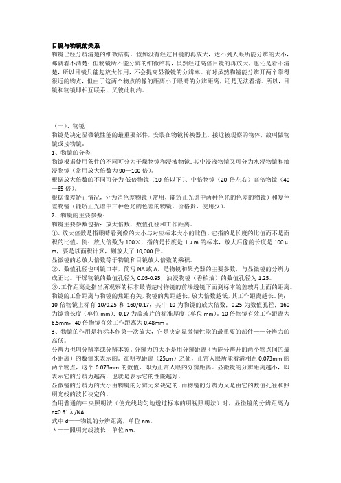 目镜与物镜