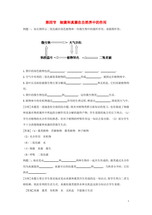 部编2020八年级生物上册 5.4.4《细菌和真菌在自然界中的作用》典型例题2 (新版)新人教版