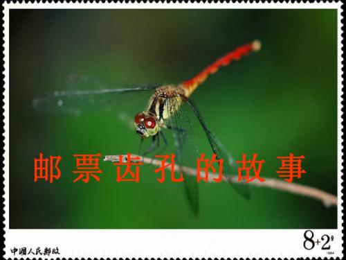 14课邮票齿孔的故事