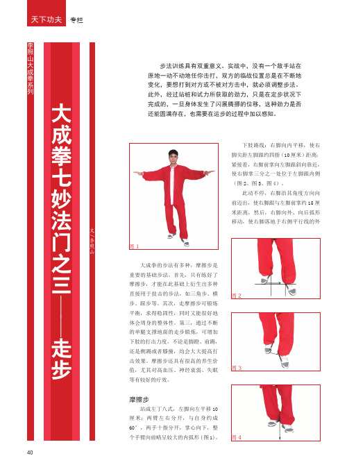 大成拳七妙法门之三——走步