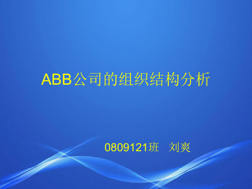 刘爽ABB组织结构分析