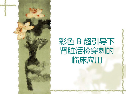 彩色B超引导下肾脏活检PPT课件