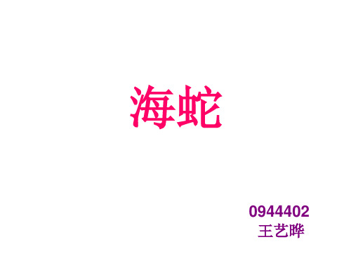 海蛇