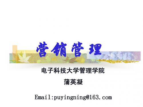 营销管理13 (NXPowerLite)
