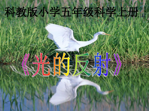 五年级上册科学课件-2.4光的反射 教科版(共20张PPT)
