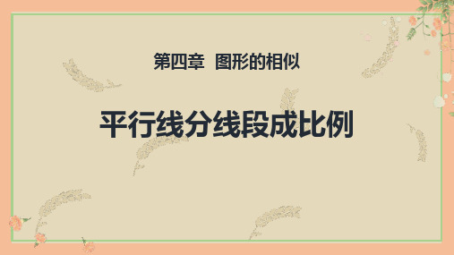 北师大版九年级数学上册《平行线分线段成比例》图形的相似PPT精品课件