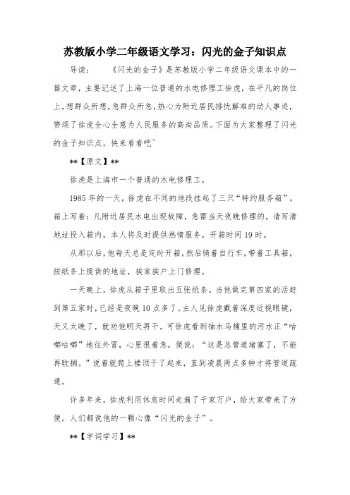 苏教版小学二年级语文学习：闪光的金子知识点