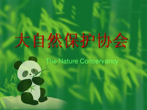 大自然保护协会