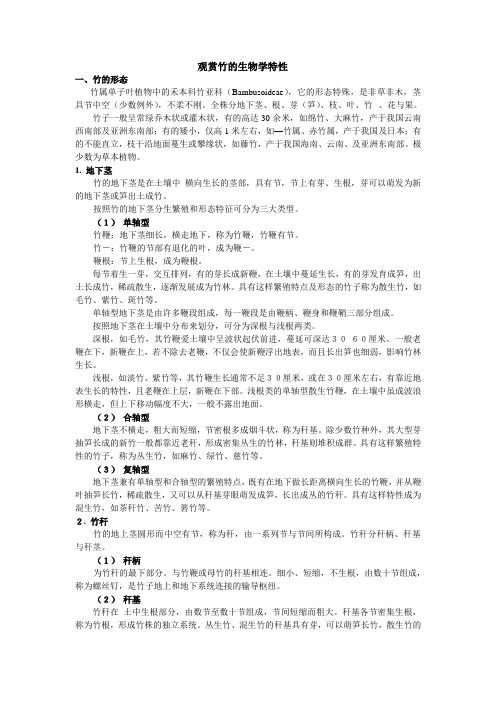 观赏竹