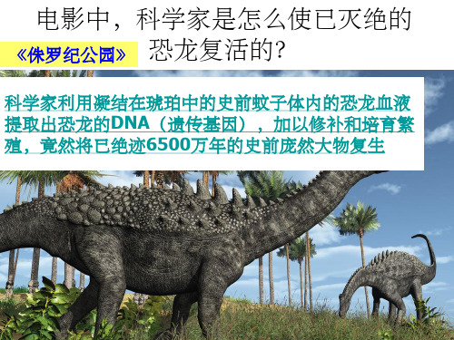 基因指导蛋白质的合成(公开课)