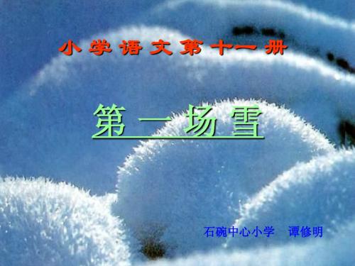 《第一场雪》课件