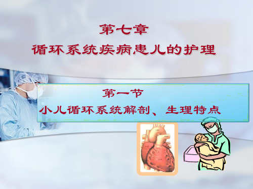 第一节  小儿循环系统解剖生理特点