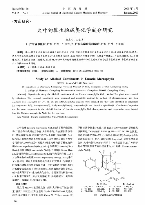 大叶钩藤生物碱类化学成分研究