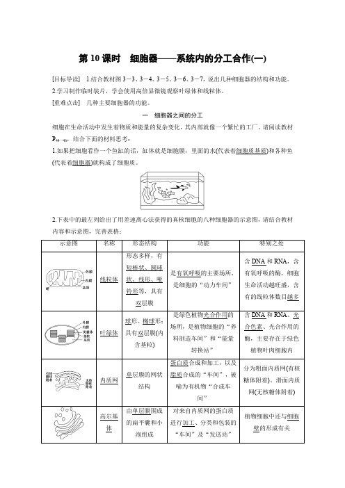 生物人教版必修1习题：3.2 细胞器——系统内的分工合作(一) Word版含解析