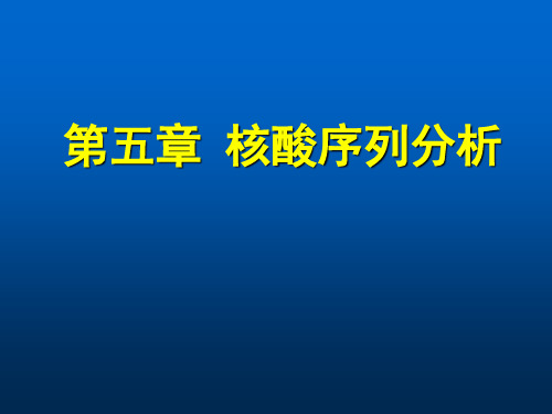 核酸序列分析