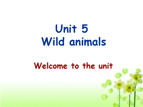 Unit 5 Wild animals_课件