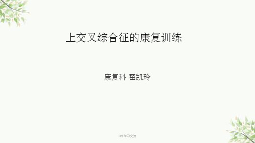 上交叉综合征课件