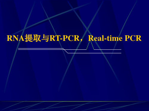 RT-PCR and real-time PCR