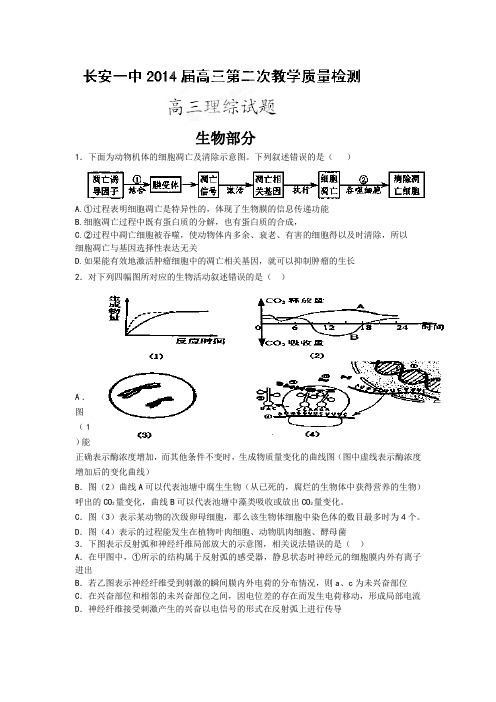 陕西省西安市长安区第一中学2014届高三上学期第二次质量检测生物试题