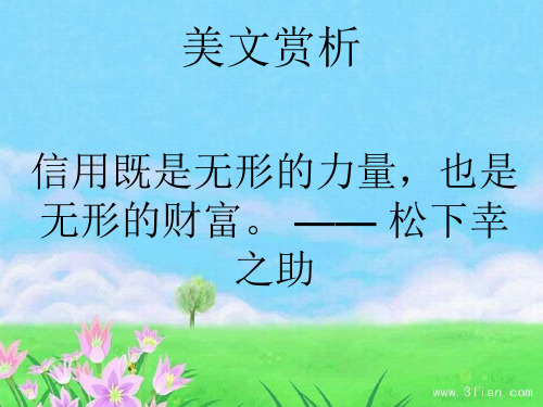 美文赏析  《三个火枪手》读书汇报