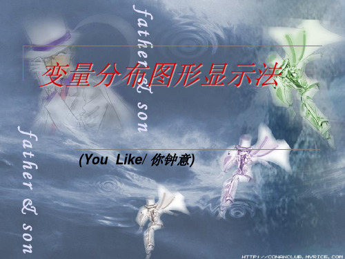 变量分布显示图