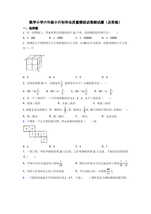 数学小学六年级小升初毕业质量模拟试卷测试题(及答案)