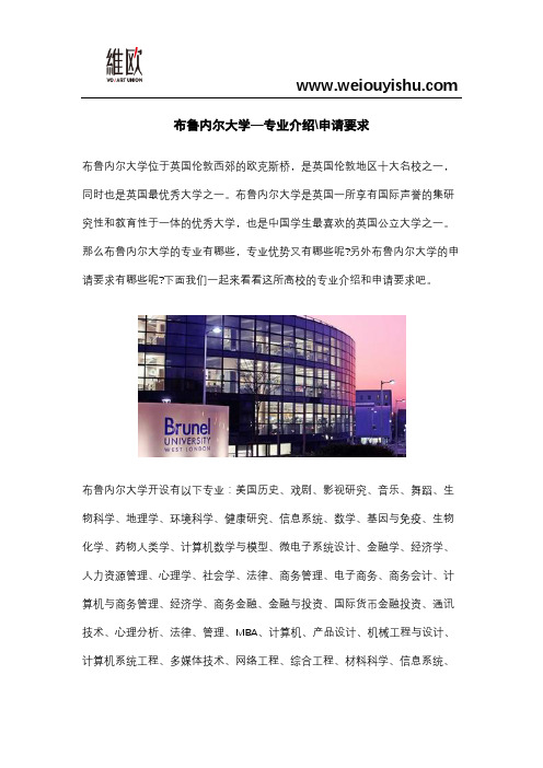 布鲁内尔大学