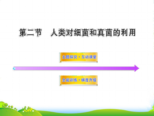 八年级生物上册 第五单元 第五章 第二节 人类对细菌和真菌的利用课件 新人教版