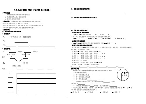 3.2 基因的自由组合定律(2课时)