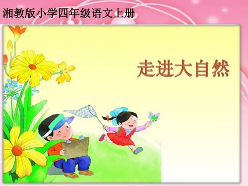 《走进大自然》课件
