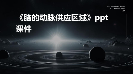 《脑的动脉供应区域》课件