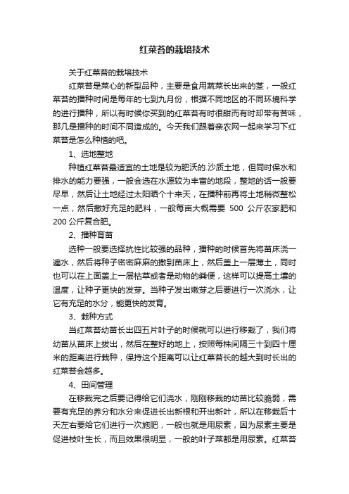 红菜苔的栽培技术