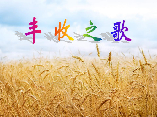 苏教版音乐四上《丰收之歌》-课件2