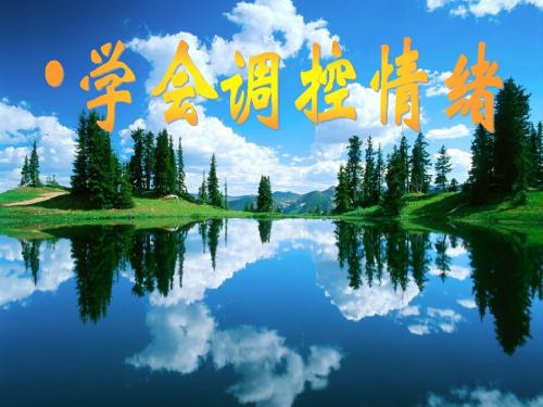 人教版七年级上册第六课第二框学会调控情绪(共34张PPT)[1]