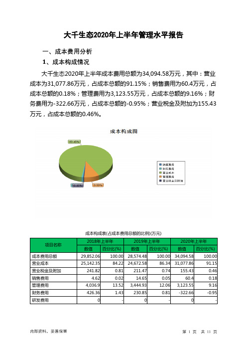 大千生态2020年上半年管理水平报告
