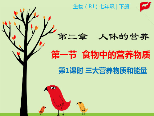 七年级上册生物教学课件第1课时 三大有机营养物质和能量