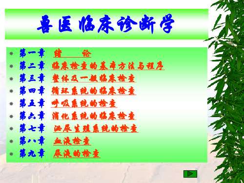 B临床检查的基本方法与程序