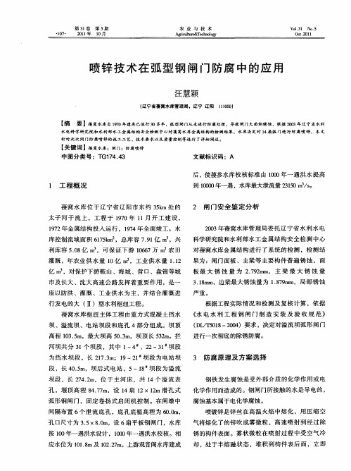 喷锌技术在弧型钢闸门防腐中的应用