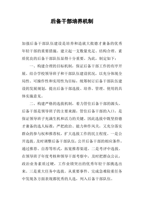 后备干部培养机制