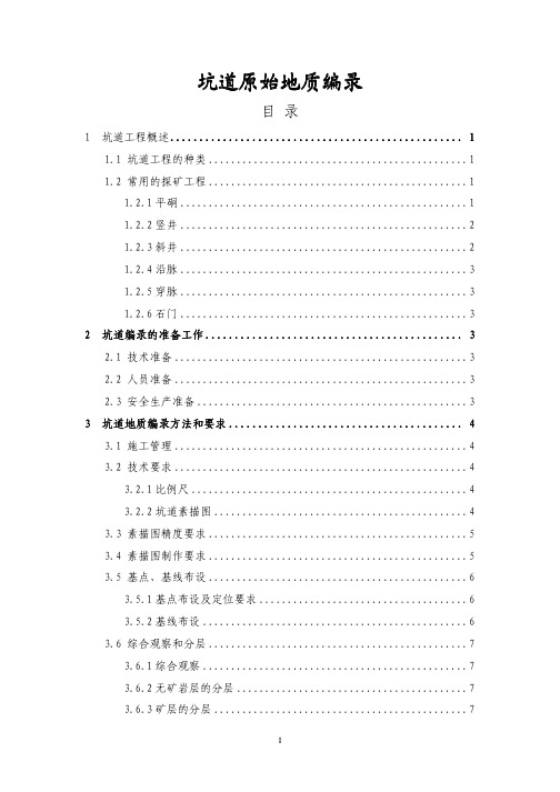 坑道原始地质编录 pdf